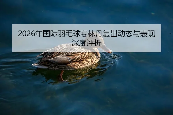 2026年国际羽毛球赛林丹复出动态与表现深度评析