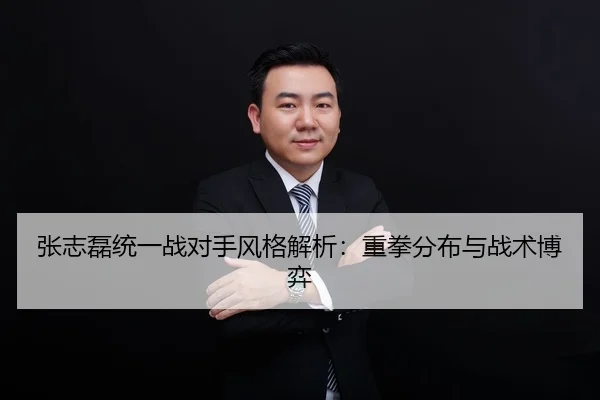 张志磊统一战对手风格解析：重拳分布与战术博弈