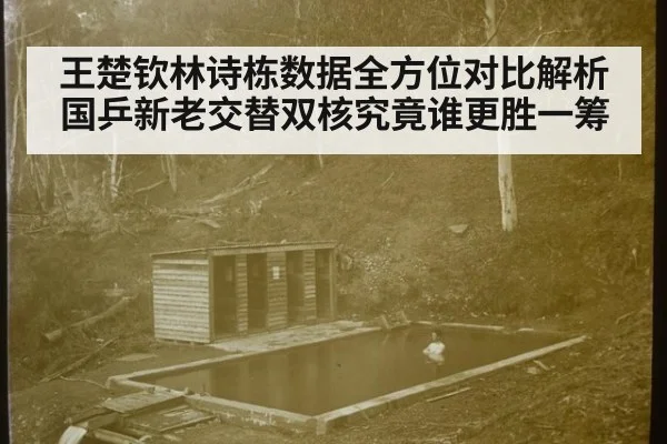 王楚钦林诗栋数据全方位对比解析国乒新老交替双核究竟谁更胜一筹