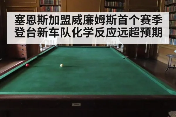 塞恩斯加盟威廉姆斯首个赛季登台新车队化学反应远超预期